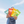 Load image into Gallery viewer, Variety Pack
